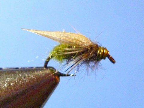 Apple Caddis Emerger