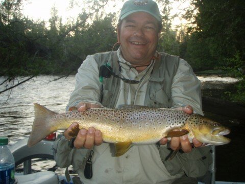 21" Brown Trout caught on Biot Parachute