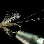 Soft Hackle Emerger