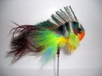 Punk Rocker display fly