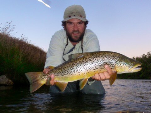 AG skated up this big brown right before dark in the Nevis River, South Island, NZ.