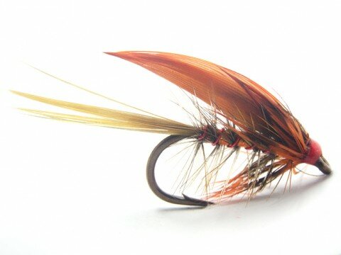 Orange Rough Fly