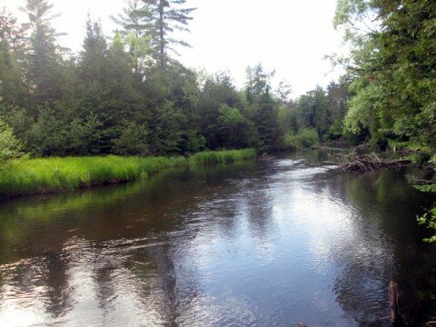 Au Sable River