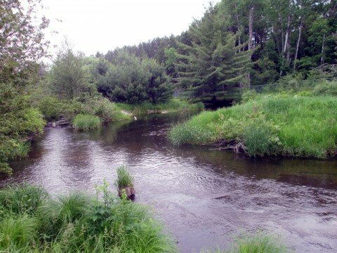 East Branch of the Au Sable.