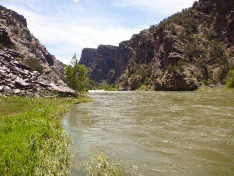 Blown River? Bring on the worms!