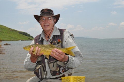 Jay with yellowfish