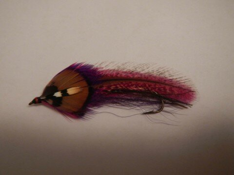 Whiting Rangeley Streamer