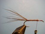 Cut 6 – 8 moose body hairs, clean and stack/even them and tie in on top of the hook aboutone hook gape’s distance behind the eye. Tie down along the shank to above the hook barb and back again.