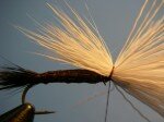 Select a clump of deer belly hair for the post/wing (approximately the thickness of three match sticks). Clean and stack/even it. Lay the hair on top of the hook so the natural points extend to the end of the body.