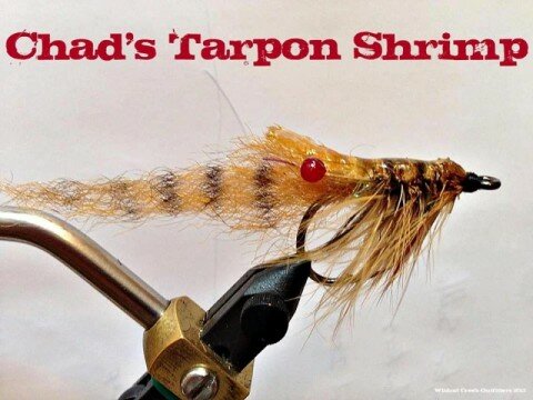 Chad's Tarpon Shrimp - Chad Miller