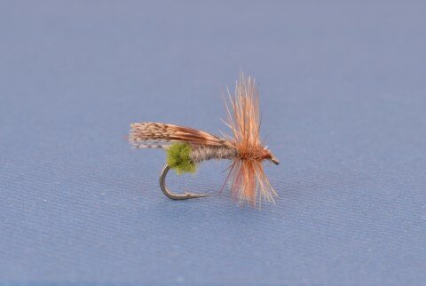 Dette Caddis - tied by Mary Dette