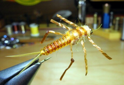 Rubber Leg D Rib Golden Stone Nymph - Carl Pennington