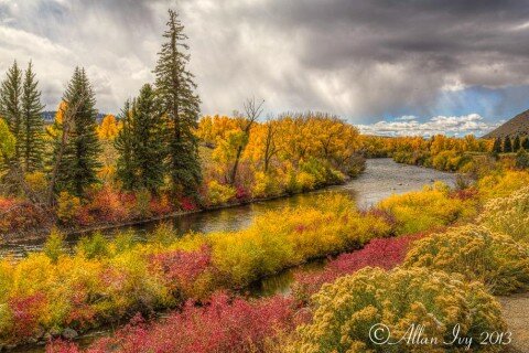 Gunnison River Fall Colors Almont, Colorado - photo by Allan Ivy