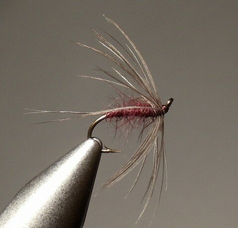 Isoynchia Flymph tied by Bill Shuck