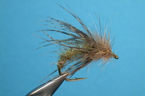 Olive Tripe Threat Caddis