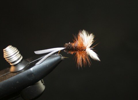 Roberts Brown Hackle Drake