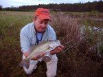 Bass caught by the shore