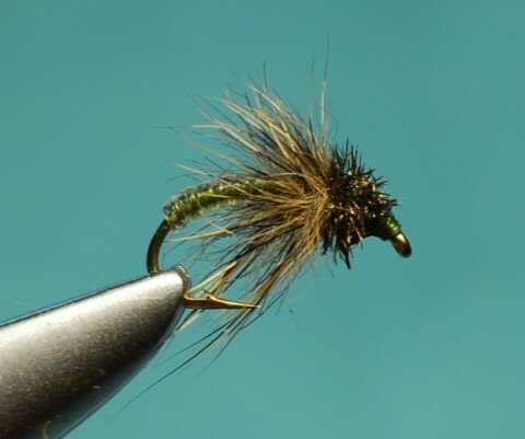 Celtic Caddis - Jimbo Busse