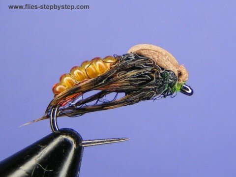 Amber Caddis Pupa - Krystian Niemy