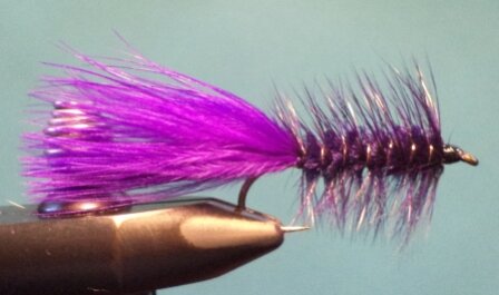 (x) AMS Woolly Bugger, Purple 6 Mustad R74