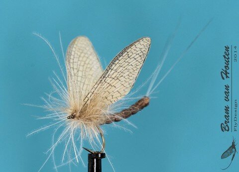 MayFly - Bram van Houten