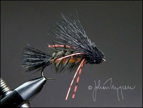 Agony Caddis - Tied by Johan Nygren