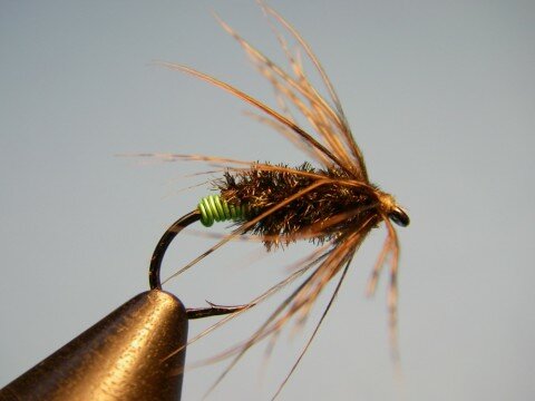 Green-Butt-Soft-Hackle-Diving-Caddis-Mothers-Day-Caddis-Pattern