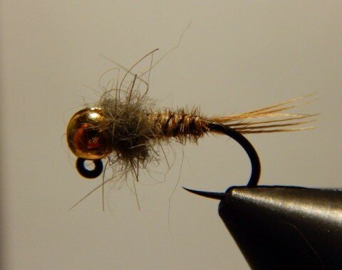 Mig Carnapeche - Pheasant Tail nymph