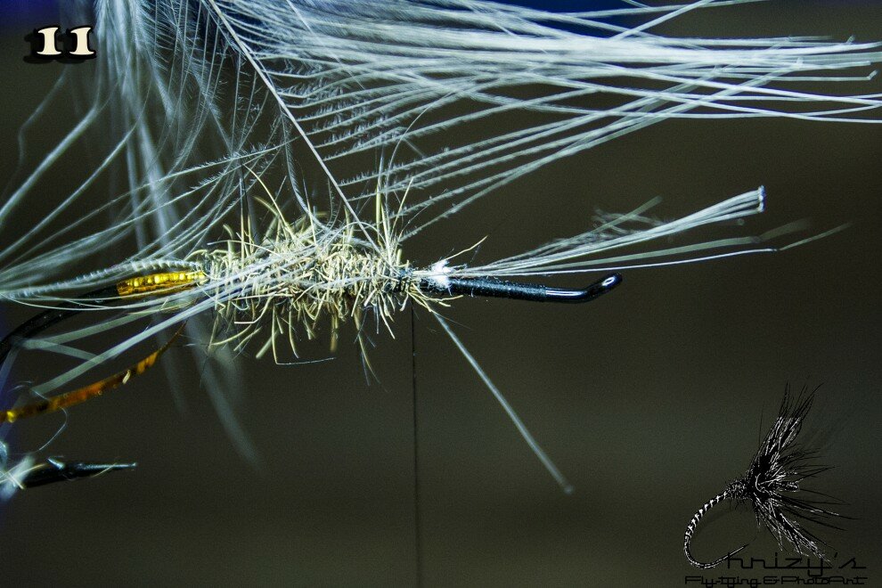 Now tie in a nice spey hackle.