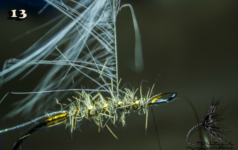 Pull the feather fibers from the spey hackle backwards.