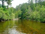 Au Sable River - Robert Woodland