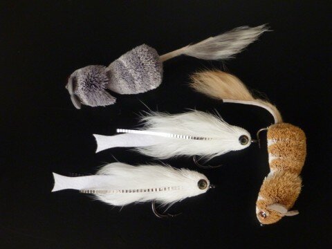 articulated flies 016