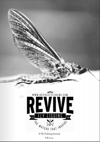 revive