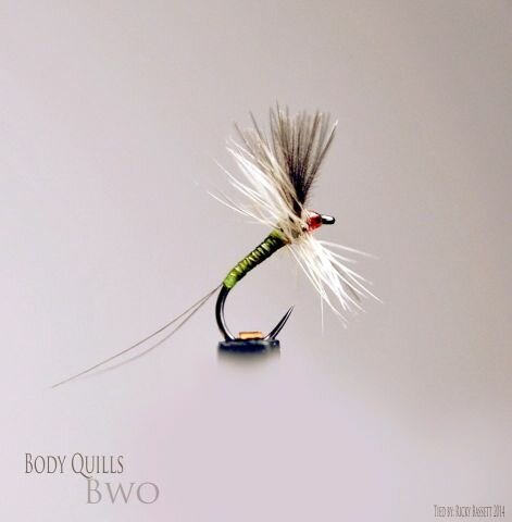 Body Quills BWO