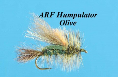 Al Ritt - ARF-Humpulator-Olive