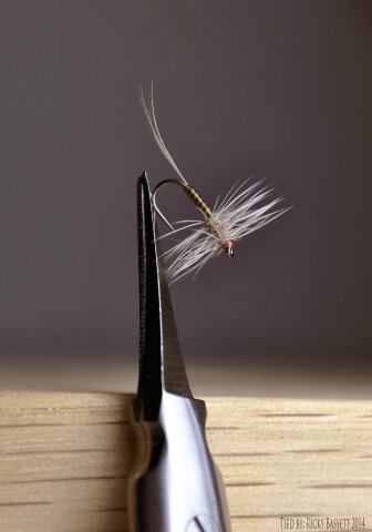 Quill Body BWO