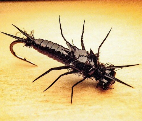 Black Stonefly - Robert Strahl