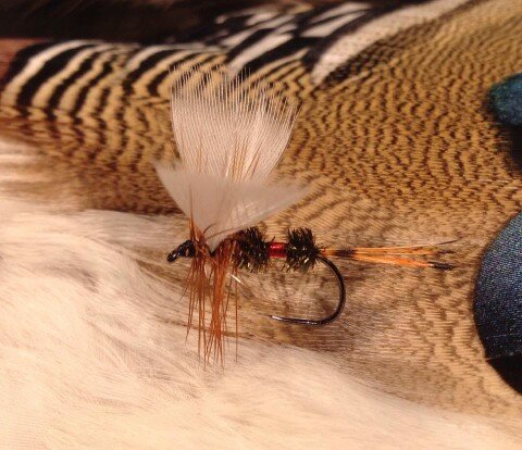 Royal Coachman Fan Wing tied by Jon Strand