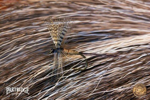 Red Quill tied by Niklas Dahlin