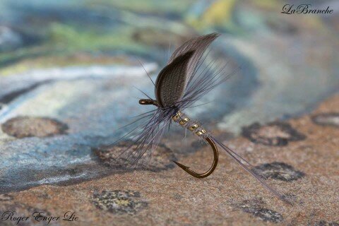  Labranche tied by Roger Enger Lie