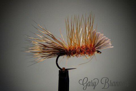 Rough Water Caddis - Gary Brannan