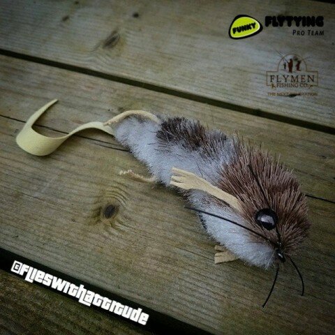 Articulated rat - tied by Norbert Renaud