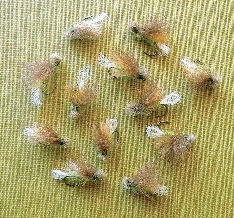 a bunch of Apple Caddis