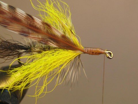 tie in hackle