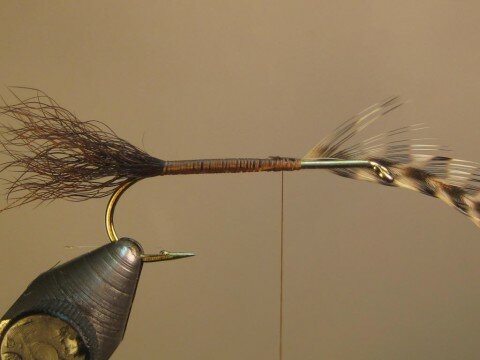 tie in undersized hackle at 2/3 mark