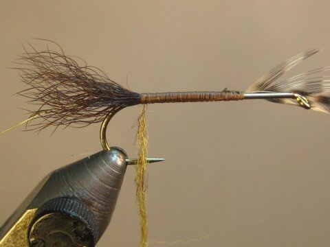 return hackle to tail tie-in; dub thread, dub body