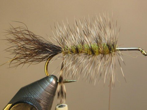 wrap hackle back to tail; capture tip with wire, then spiral through hackle to front of body, helicopter end and tie off