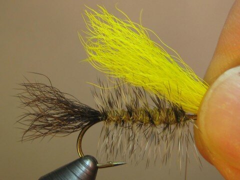 clean, stack, measure (tips to bend) a clump of yellow calftail; tie in, trim butts