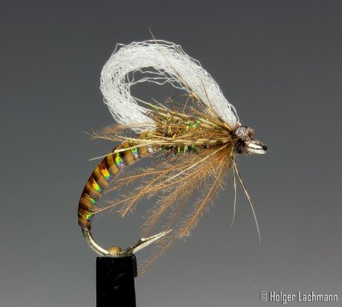 Fancy Loop Wing Emerger - tied by Holger Lachmann