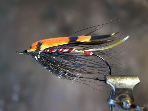 Cockatoo tied by Dave Carne